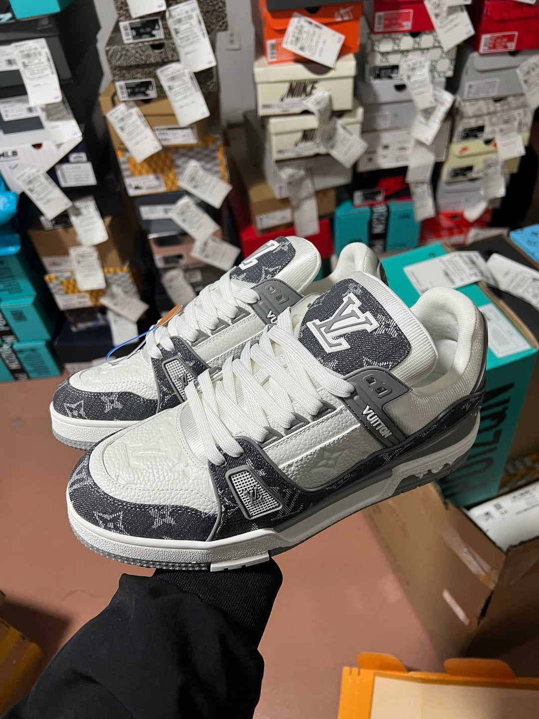 LV Trainer