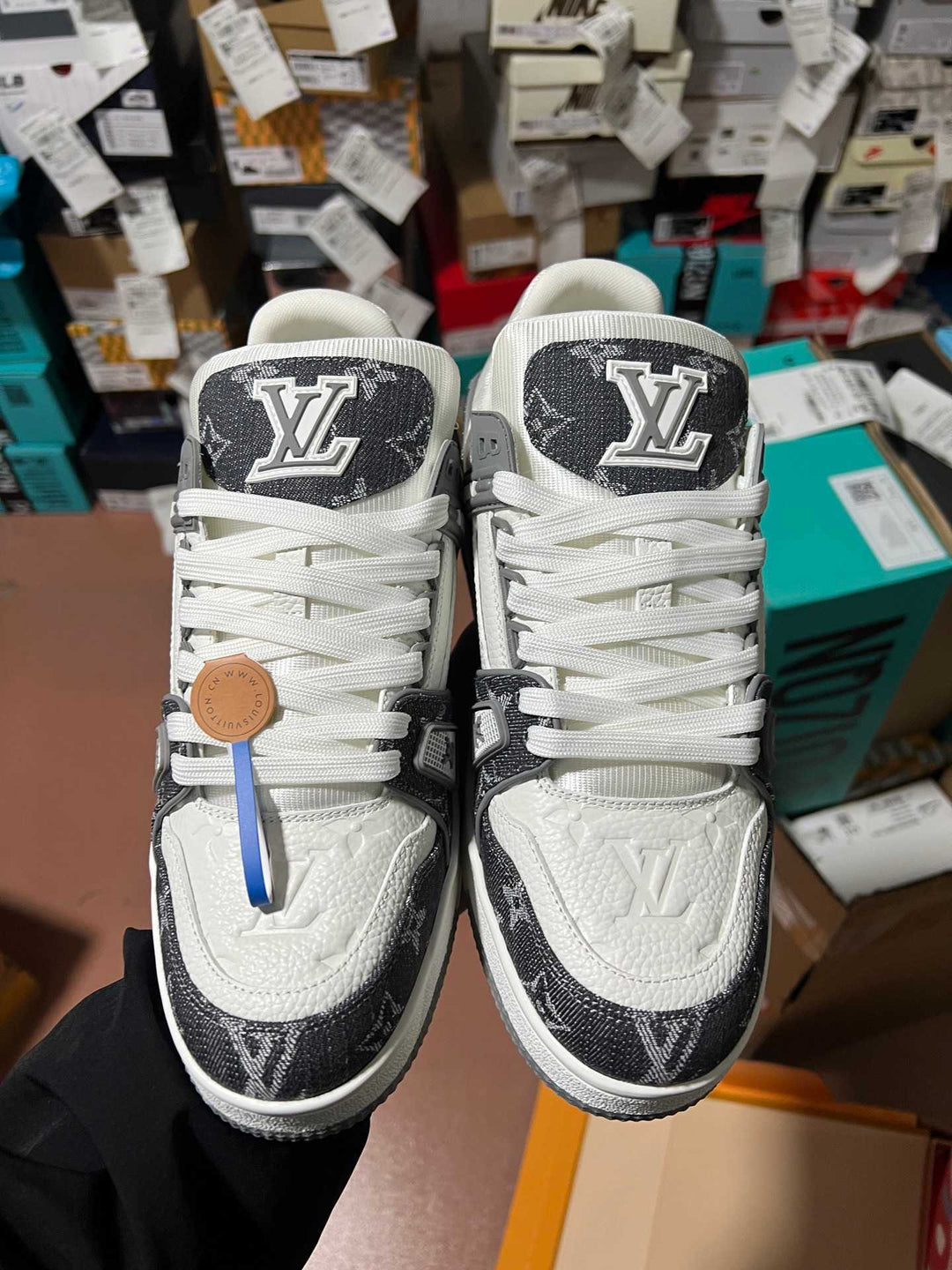 LV Trainer