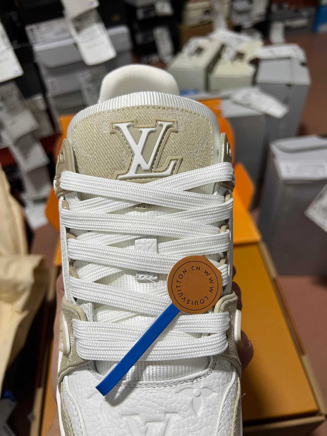 LV Trainer